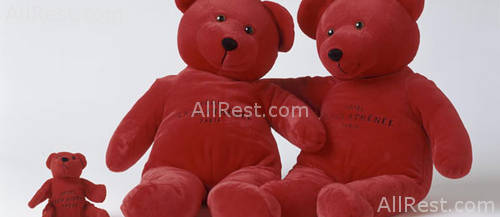 Hotel Plaza Athenee 53